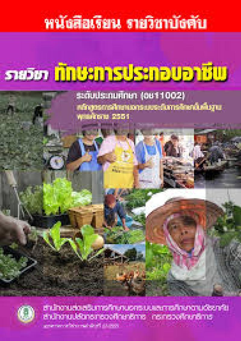 ทักษะการประกอบอาชีพ
